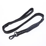 Elastic Extendable Reflective Dog Leash - Safe & Secure 11