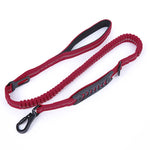 Elastic Extendable Reflective Dog Leash - Safe & Secure 9