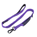 Elastic Extendable Reflective Dog Leash - Safe & Secure 5