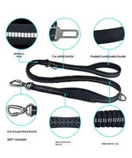 Elastic Extendable Reflective Dog Leash - Safe & Secure 12