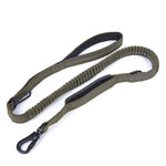 Elastic Extendable Reflective Dog Leash - Safe & Secure 10