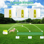 Automatic Dog Ball Launcher - Interactive Fetch Toy 4