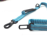 Elastic Extendable Reflective Dog Leash - Safe & Secure 17