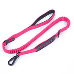 Elastic Extendable Reflective Dog Leash - Safe & Secure 3
